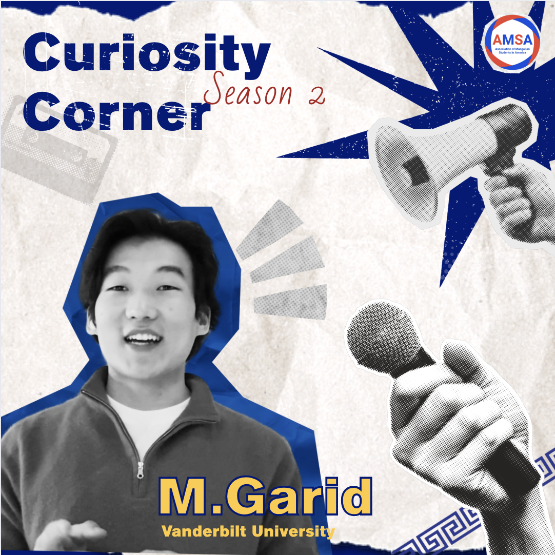 Curiosity Corner