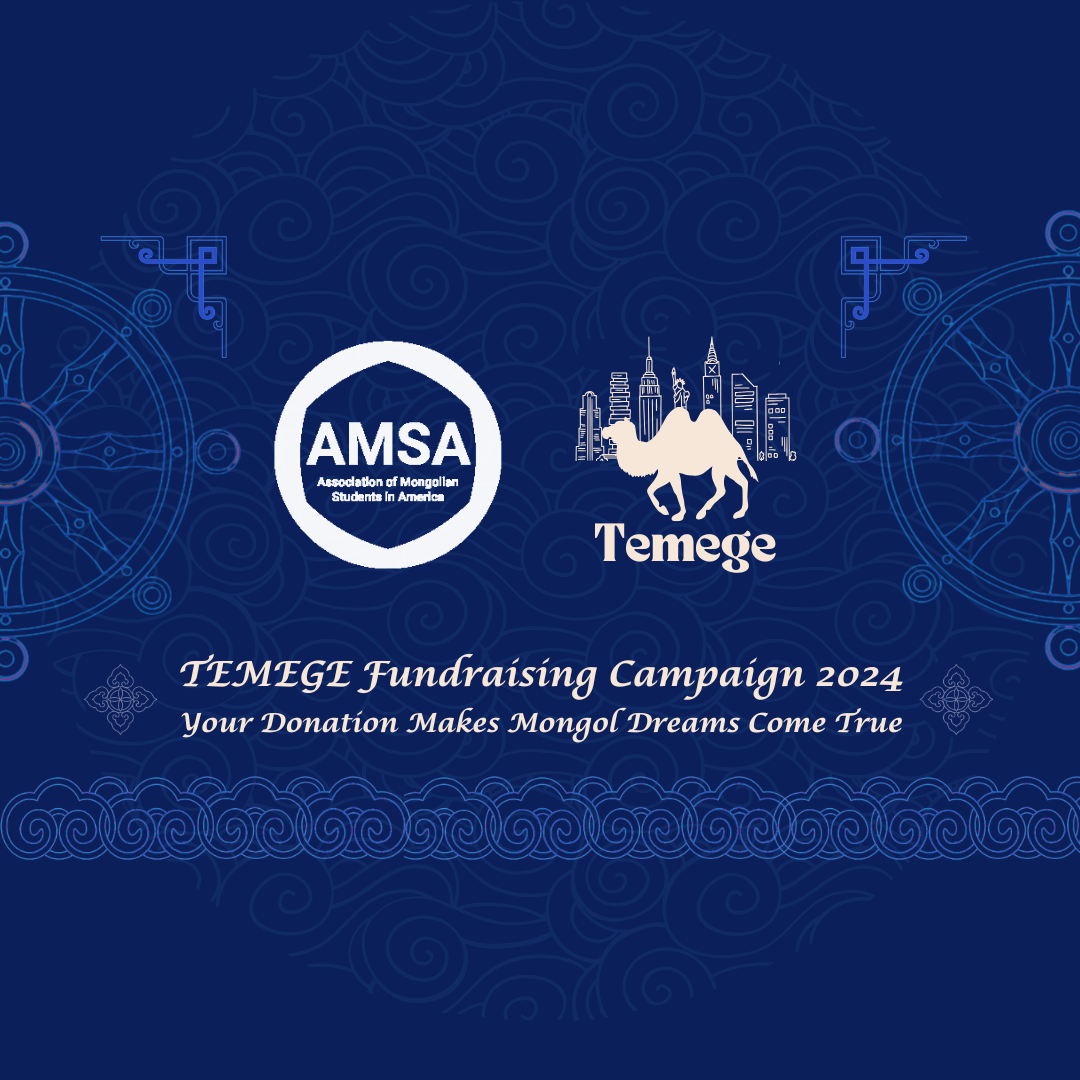 Temege Campaign